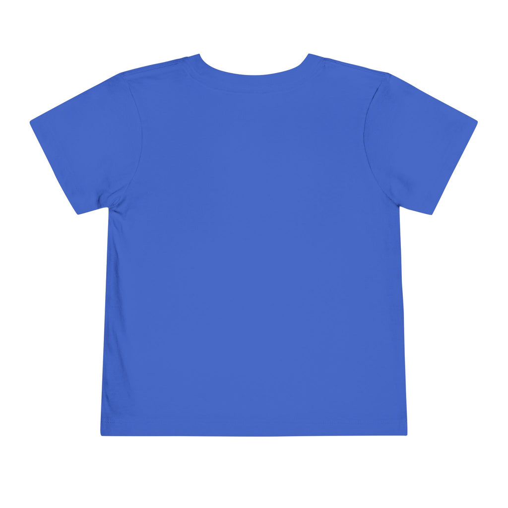 USA 250 Toddler Tee — Patriotic 4th of July Fireworks Shirt
